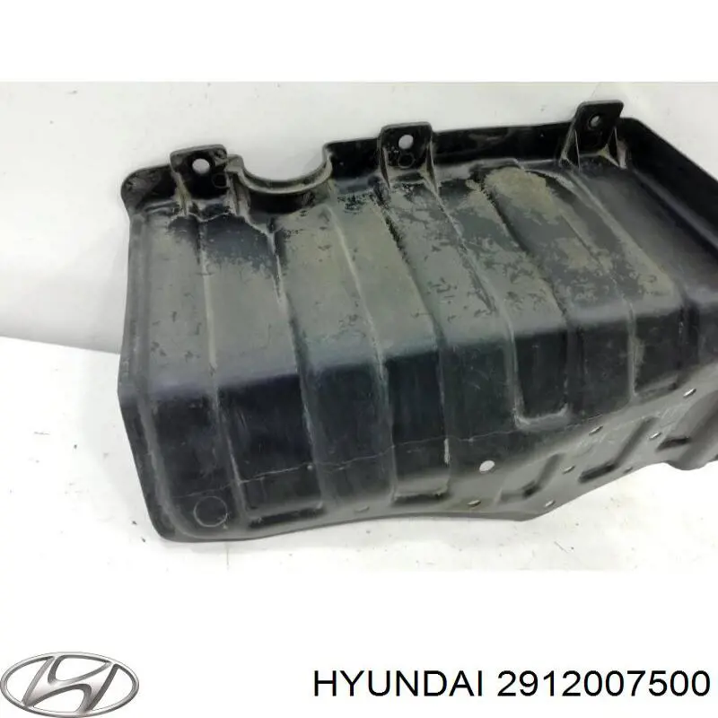 2912007500 Hyundai/Kia protección motor derecha