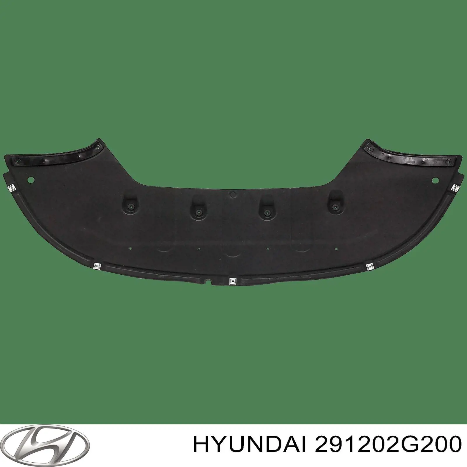 Protección de cárter KIA Magentis II sedán (MG) (2005 - 2008) precio, desde 76,24 EUR