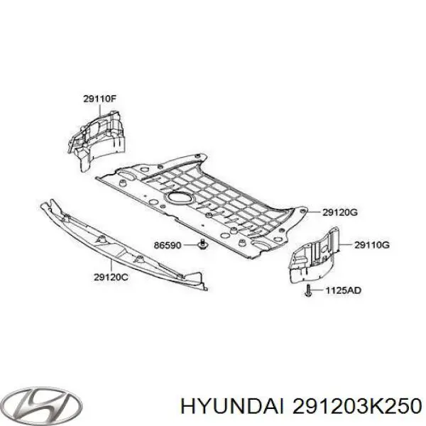 291203K250 Hyundai/Kia protección motor / empotramiento