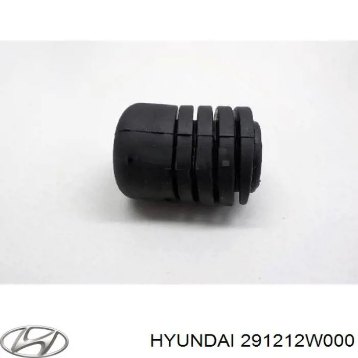 291212W000 Hyundai/Kia