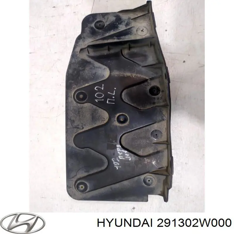 291302W000 Hyundai/Kia