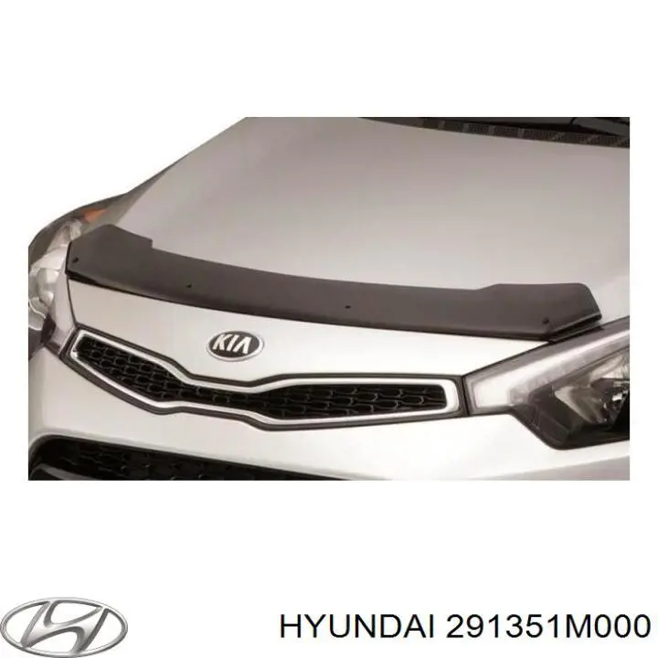 291351M000 Hyundai/Kia