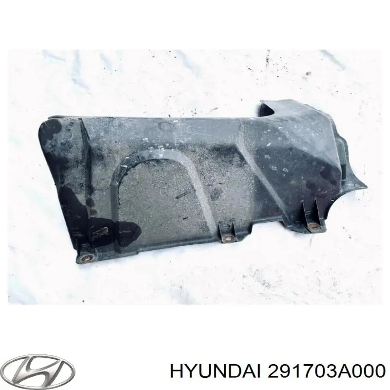 291703A000 Hyundai/Kia