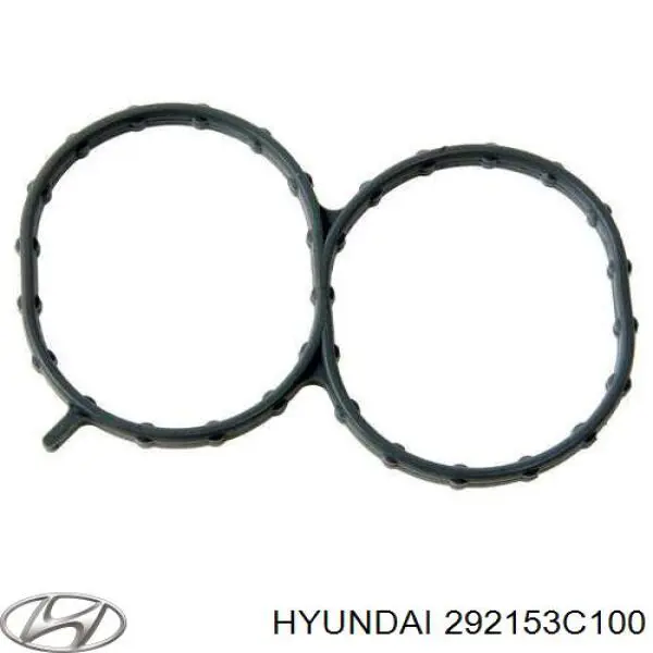 Junta de colector de admisión Hyundai/Kia 292153C100 precio, desde 15,93 EUR
