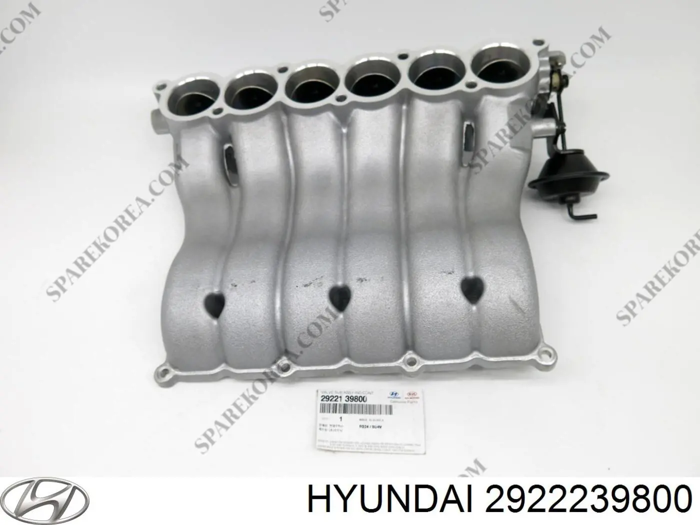 2922239800 Hyundai/Kia