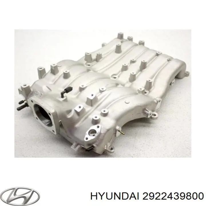 2922439800 Hyundai/Kia colector de admisión, suministro de aire