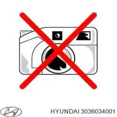 3036034001 Hyundai/Kia Cojinete embrague