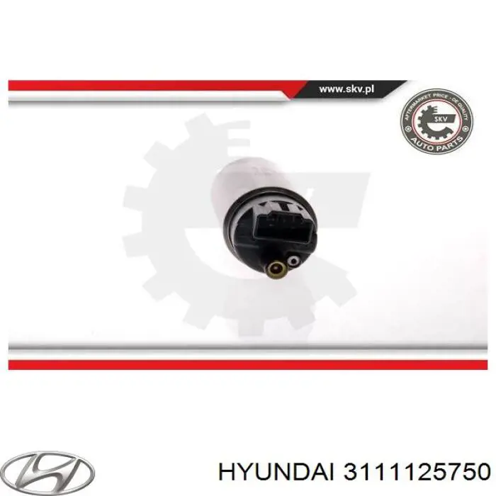3111125750 Hyundai/Kia elemento de turbina de bomba de combustible