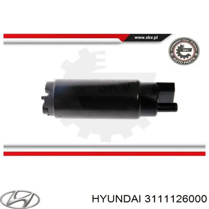 Comprar Unidad de alimentación de combustible Hyundai Santa Fe I SM