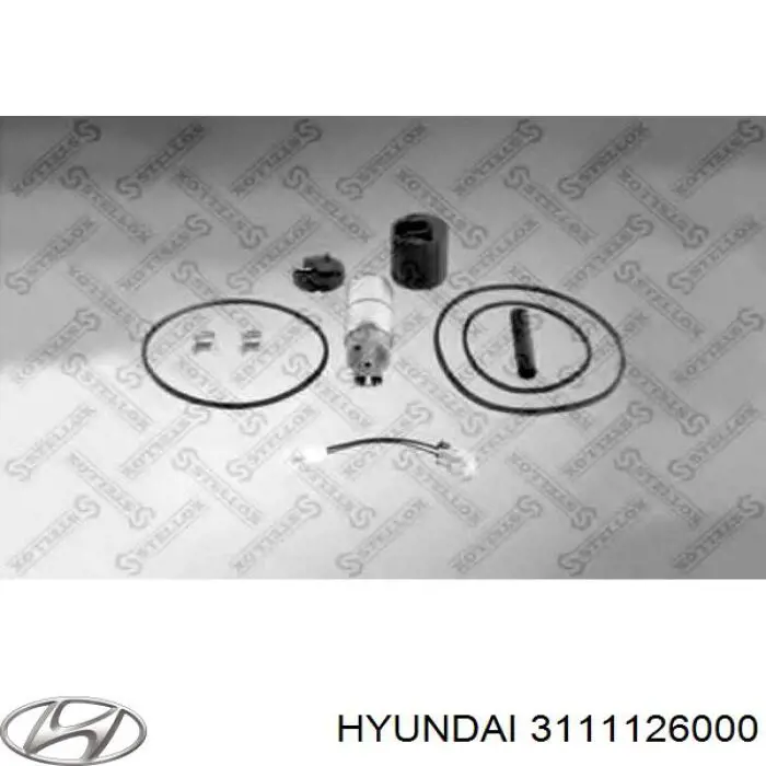 Bomba de combustible eléctrica sumergible para Hyundai Santa Fe (SM)