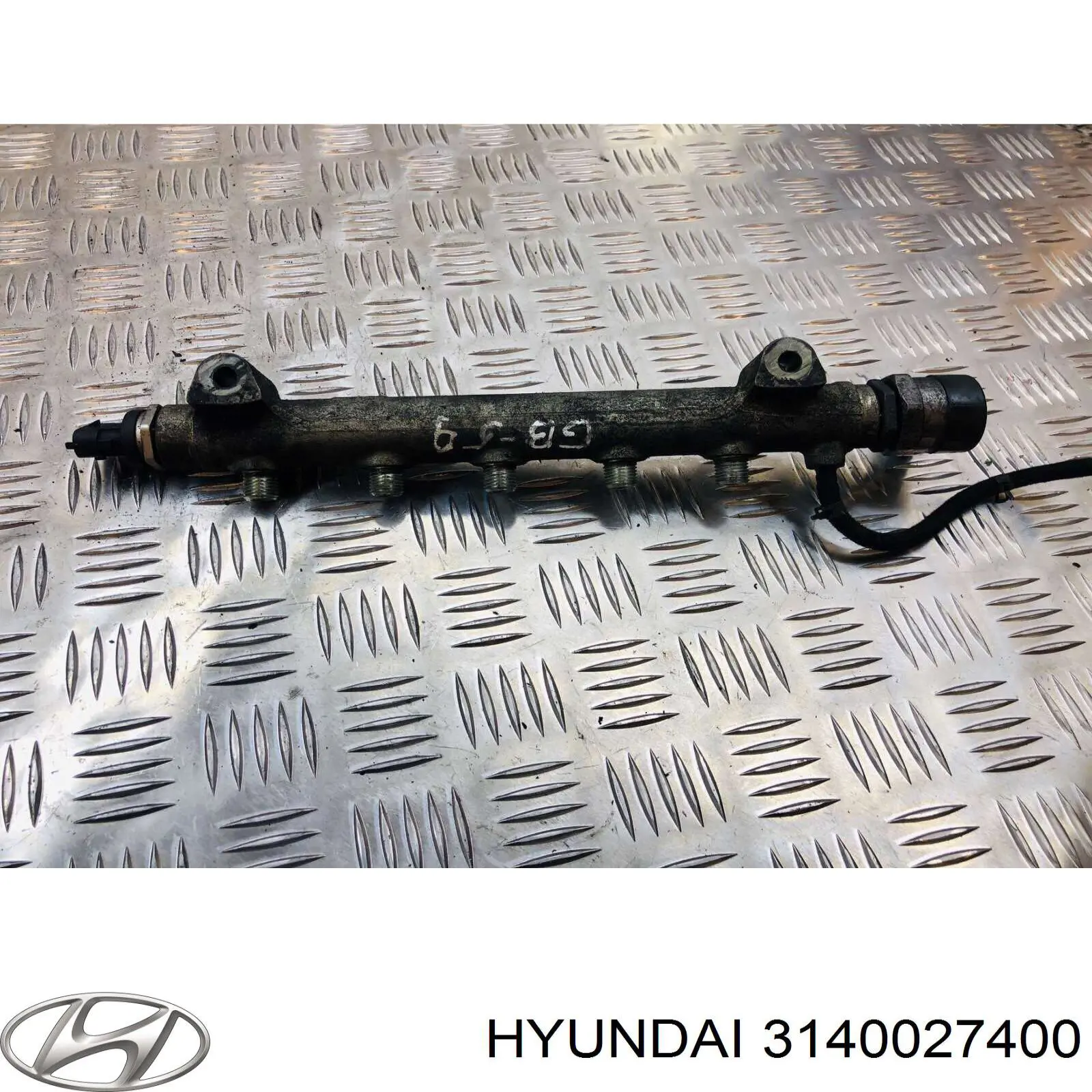 Rampa De Inyección Combustible para Hyundai Santa Fe (CM)