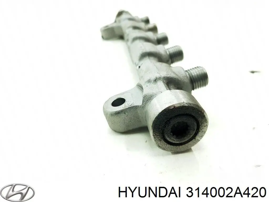 314002A420 Hyundai/Kia rampa de inyectores
