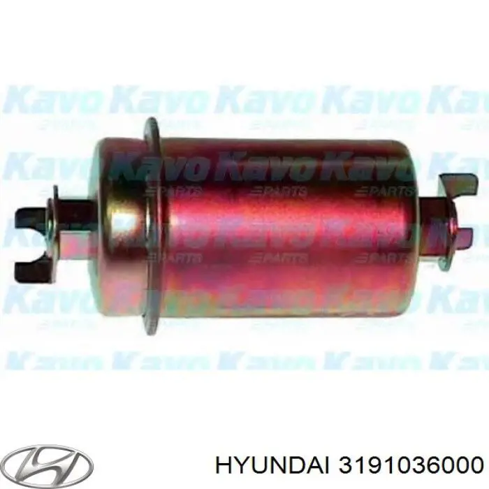 3191036000 Hyundai/Kia filtro de combustible