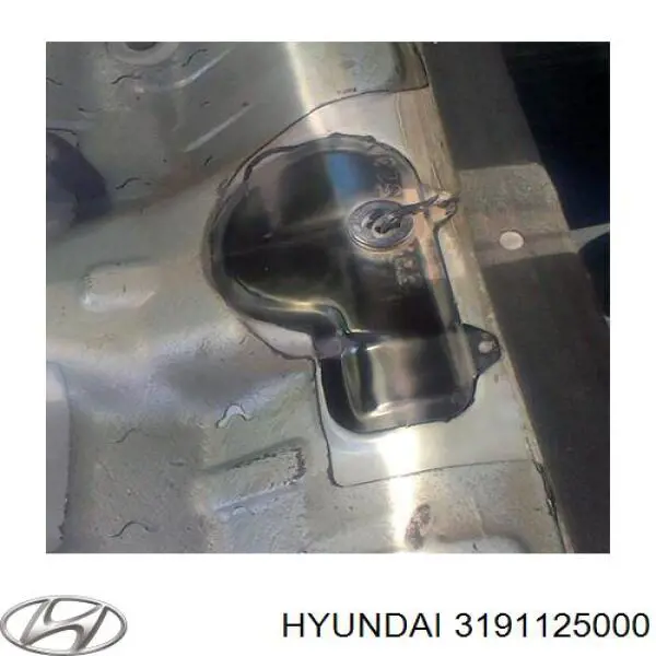 Filtro de combustible 3191125000 Hyundai/Kia