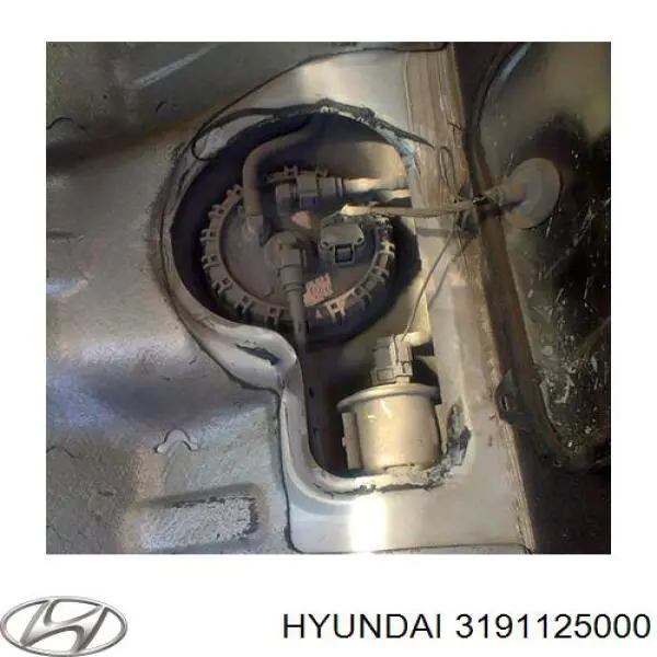 Filtro de gasoil Hyundai/Kia 3191125000