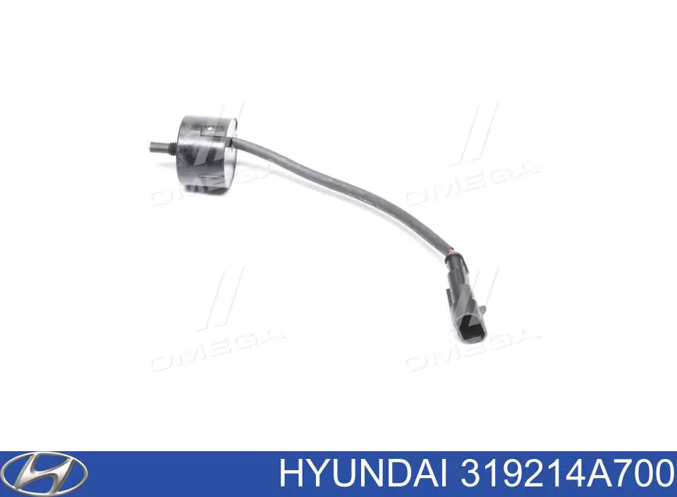 Sensor De Nivel De Agua Del Filtro De Combustible para Hyundai Santa Fe (CM)