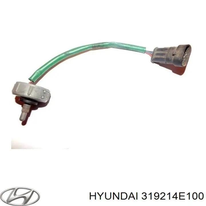 319214E100 Hyundai/Kia