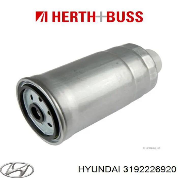 3192226920 Hyundai/Kia filtro de combustible