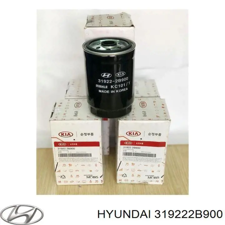 319222B900 Hyundai/Kia filtro combustible