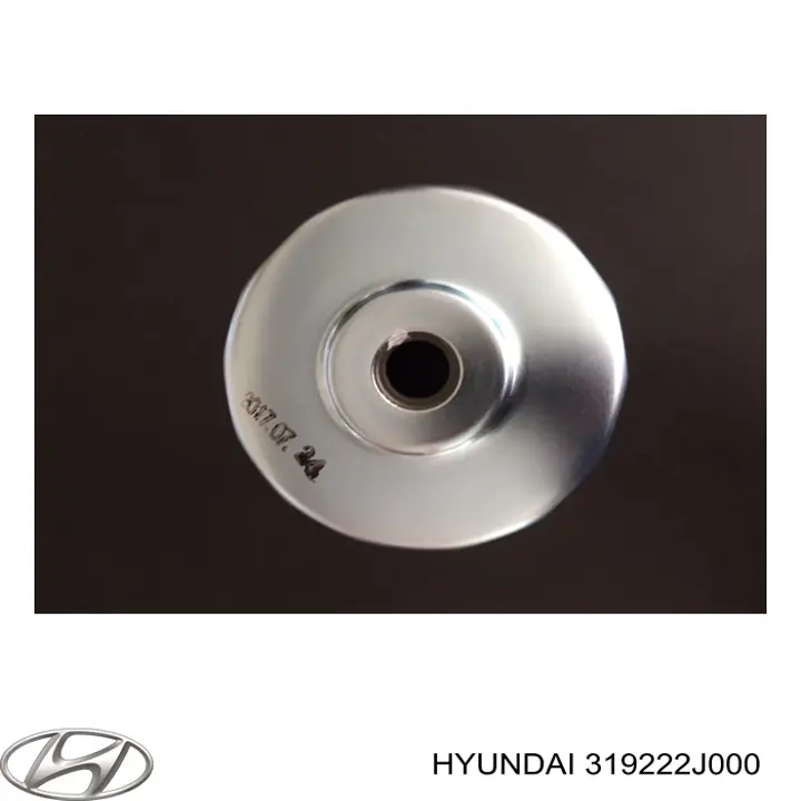 Filtro de gasoil Hyundai/Kia 319222J000