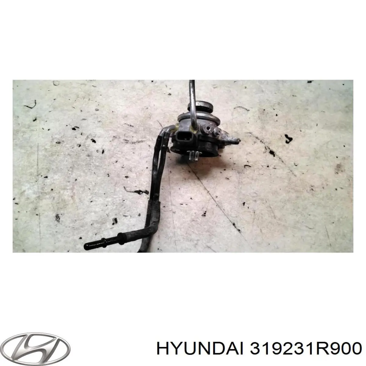 319231R900 Hyundai/Kia