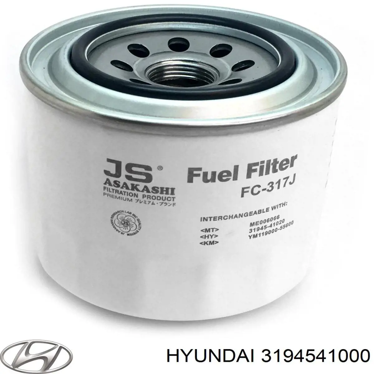 3194541000 Hyundai/Kia filtro de combustible
