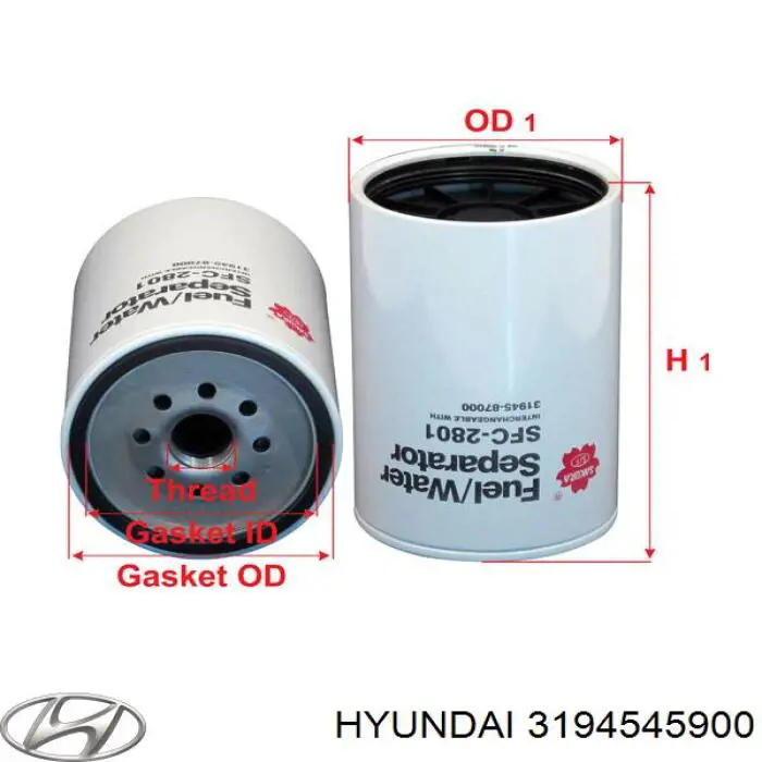 3194552160 Hyundai/Kia filtro de combustible