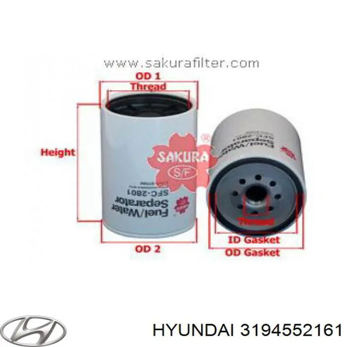 3194552161 Hyundai/Kia filtro de combustible