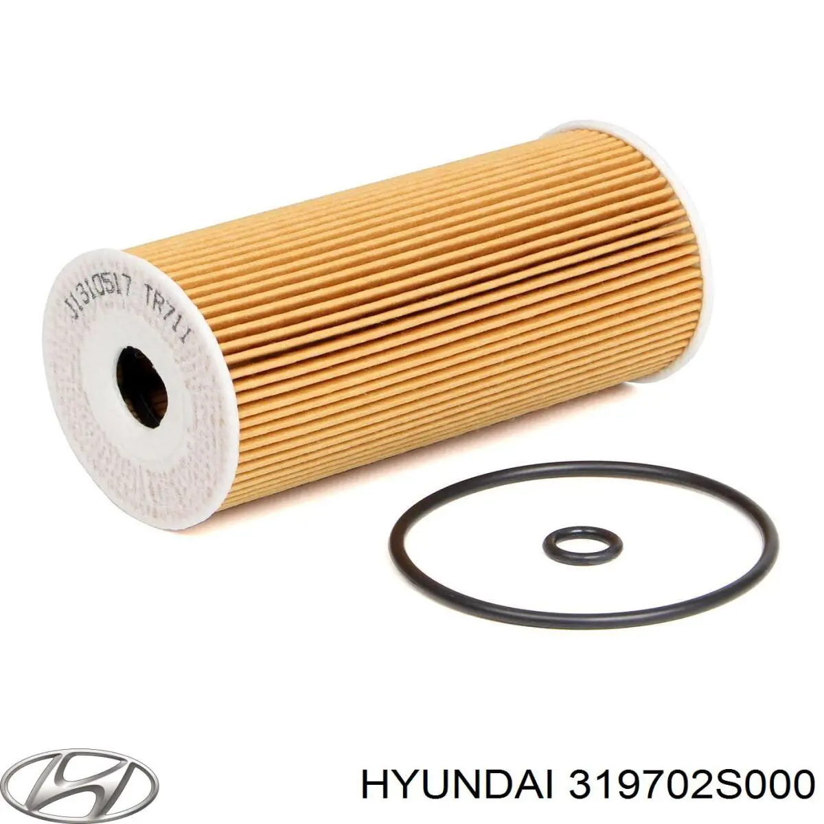 Filtro de combustible 319702S000 Hyundai/Kia
