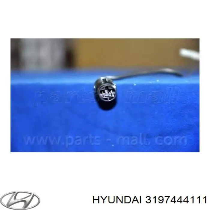 3197444111 Hyundai/Kia