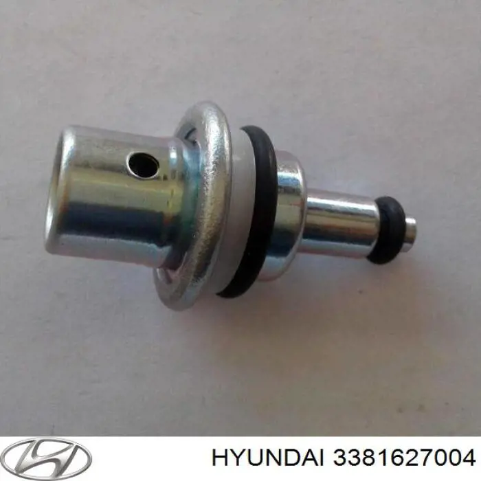Tornillo, soporte inyector para Hyundai Santa Fe (CM)