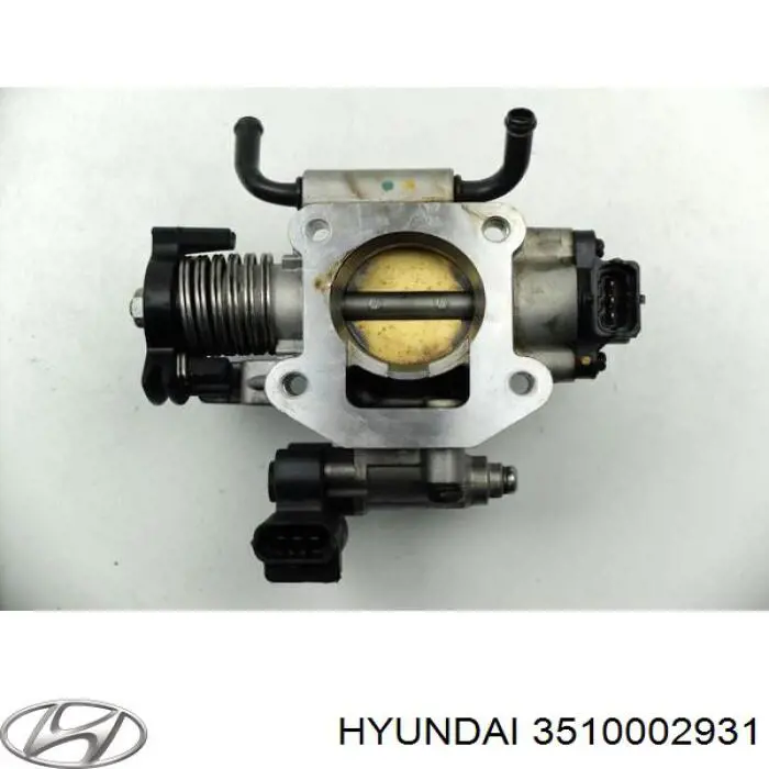 Cuerpo de aceleración completo Hyundai/Kia 3510002931 precio, desde 580,85 EUR