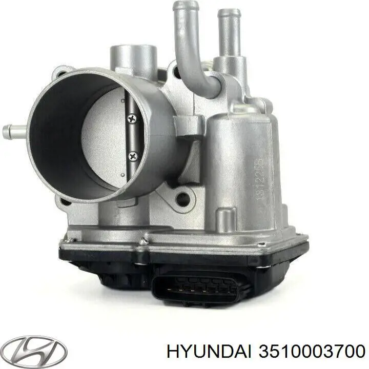 Cuerpo de aceleración completo Hyundai/Kia 3510003700 precio, desde 104,54 EUR