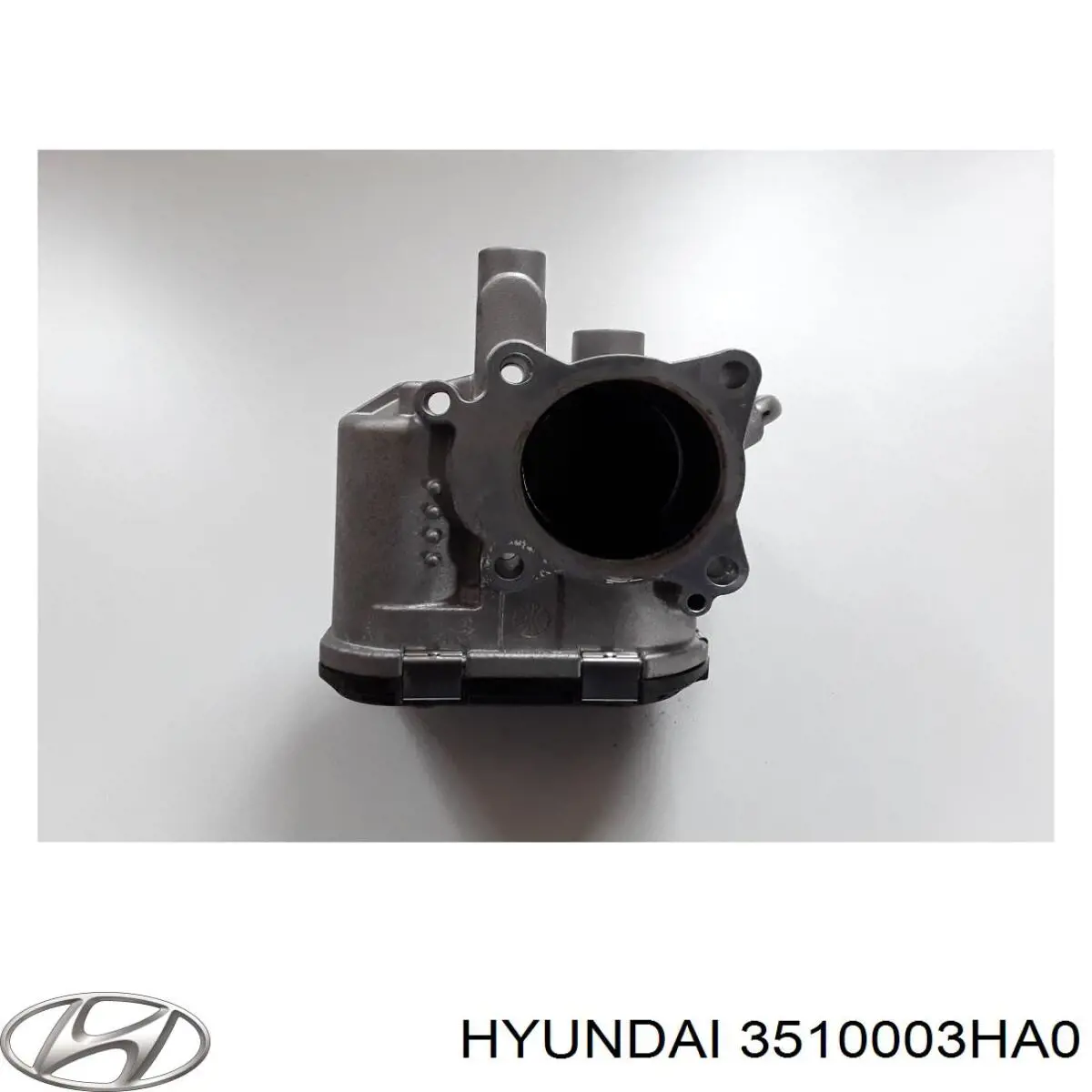 Cuerpo de mariposa completo Hyundai IONIQ (AE)