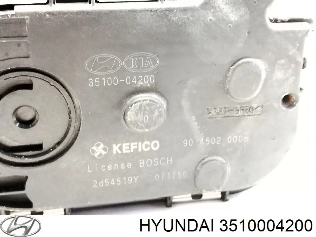 Cuerpo de mariposa 0892920 Metzger