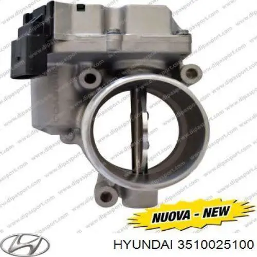 3510025100 Hyundai/Kia cuerpo de mariposa completo