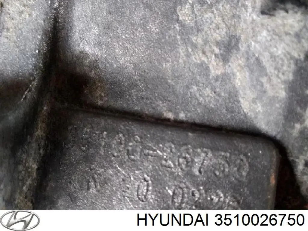 Cuerpo de aceleración completo Hyundai/Kia 3510026750 precio, desde 31,22 EUR