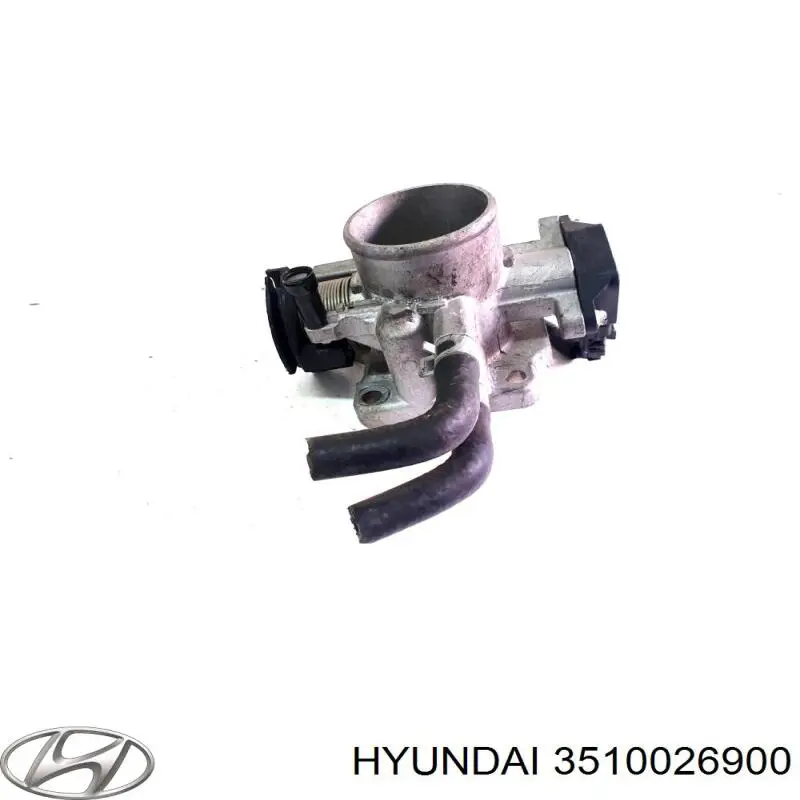 3510026900 Hyundai/Kia cuerpo de mariposa completo