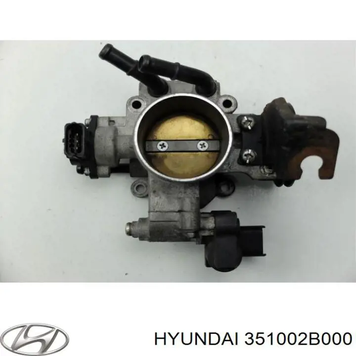 Cuerpo de aceleración completo Hyundai/Kia 351002B000 precio, desde 71,15 EUR