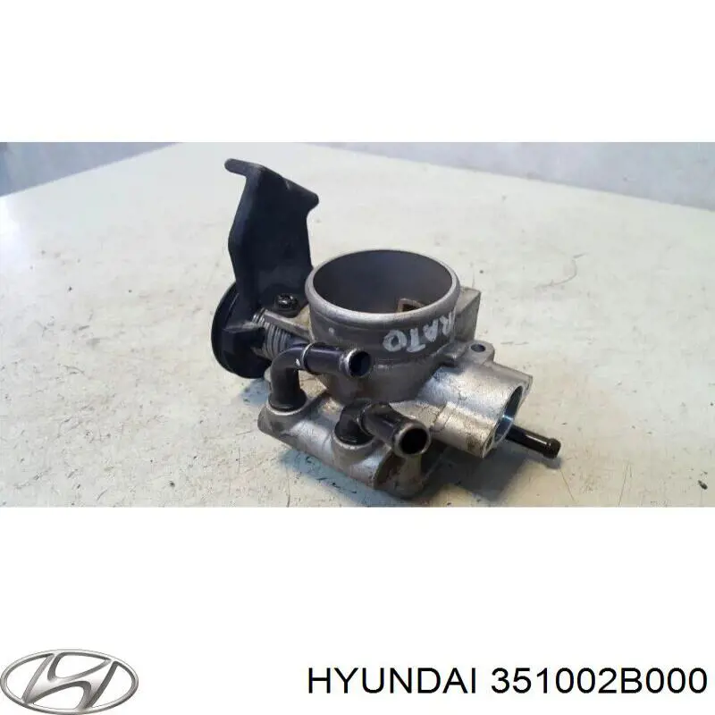 Cuerpo de mariposa 351002B000 Hyundai/Kia
