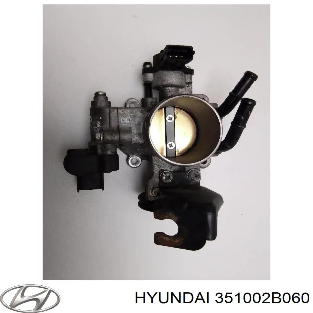 351002B060 Hyundai/Kia cuerpo de mariposa completo