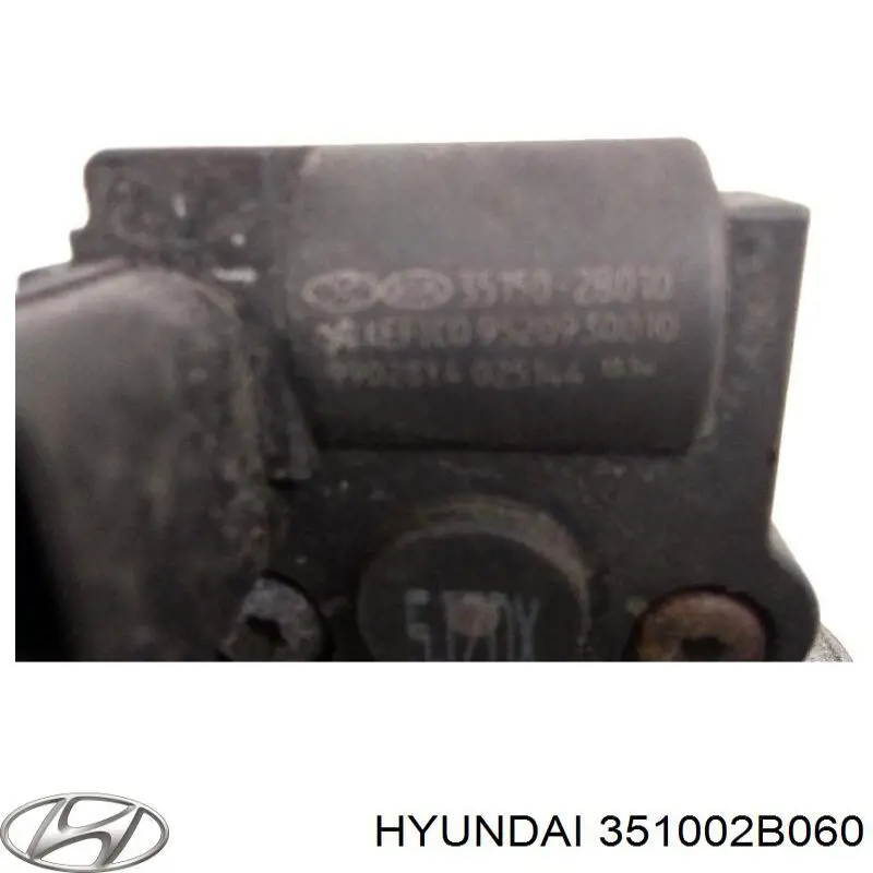 Cuerpo de aceleración completo Hyundai/Kia 351002B060 precio, desde 113,26 EUR