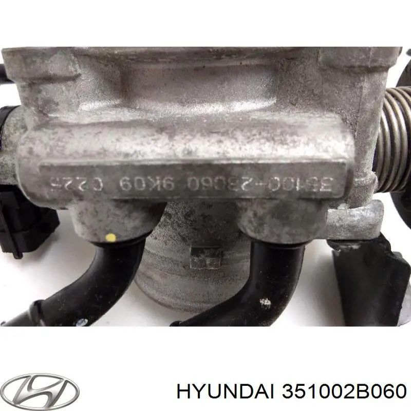 Cuerpo de aceleración completo Hyundai/Kia 351002B060 precio, desde 363,99 EUR