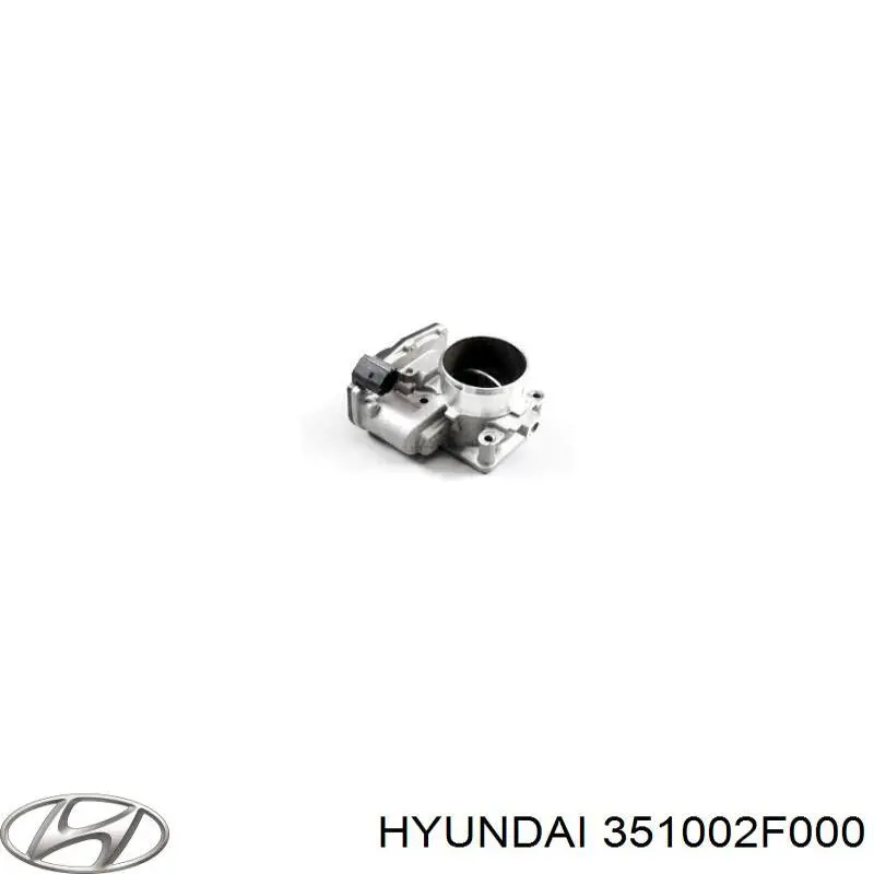 Comprar 351002F000 Hyundai/Kia Cuerpo de mariposa