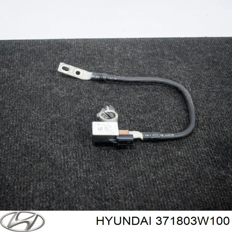 371803W100 Hyundai/Kia