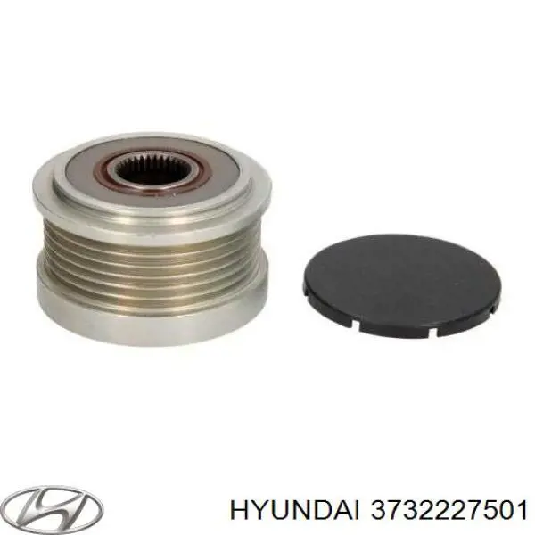 Polea de alternador Hyundai/Kia 1002132980