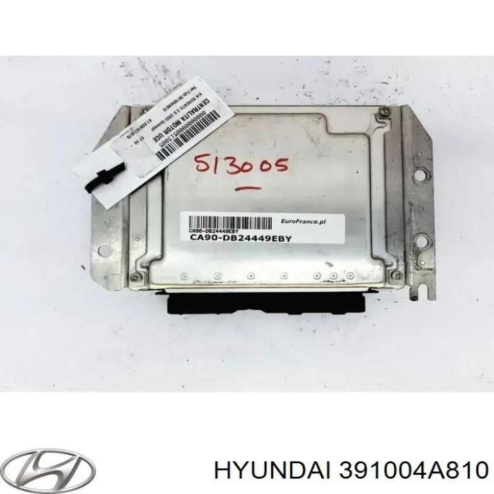 ECU 391004A810 Hyundai/Kia