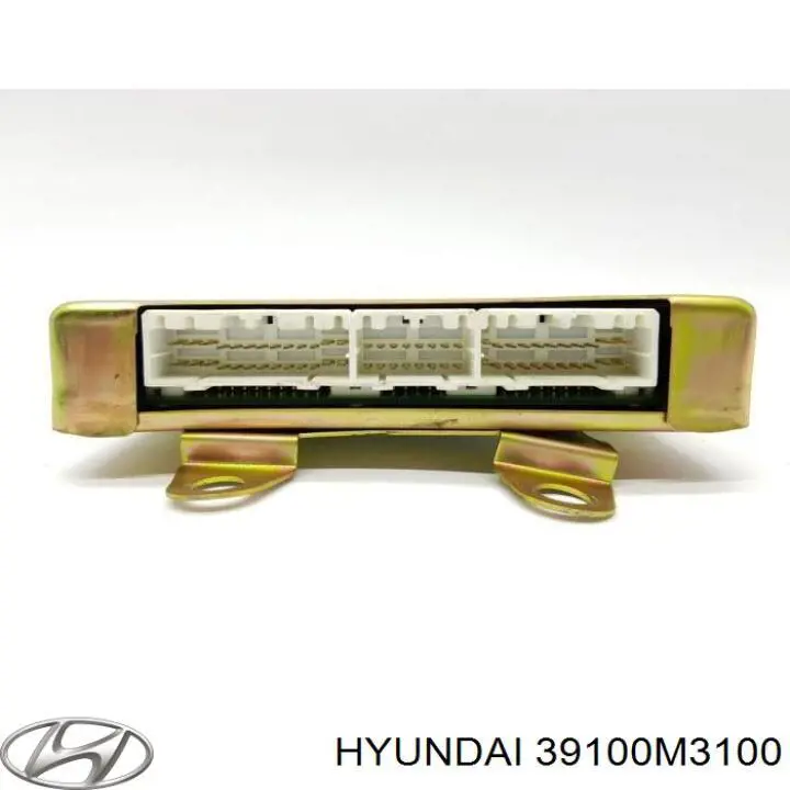 39100M3100 Hyundai/Kia