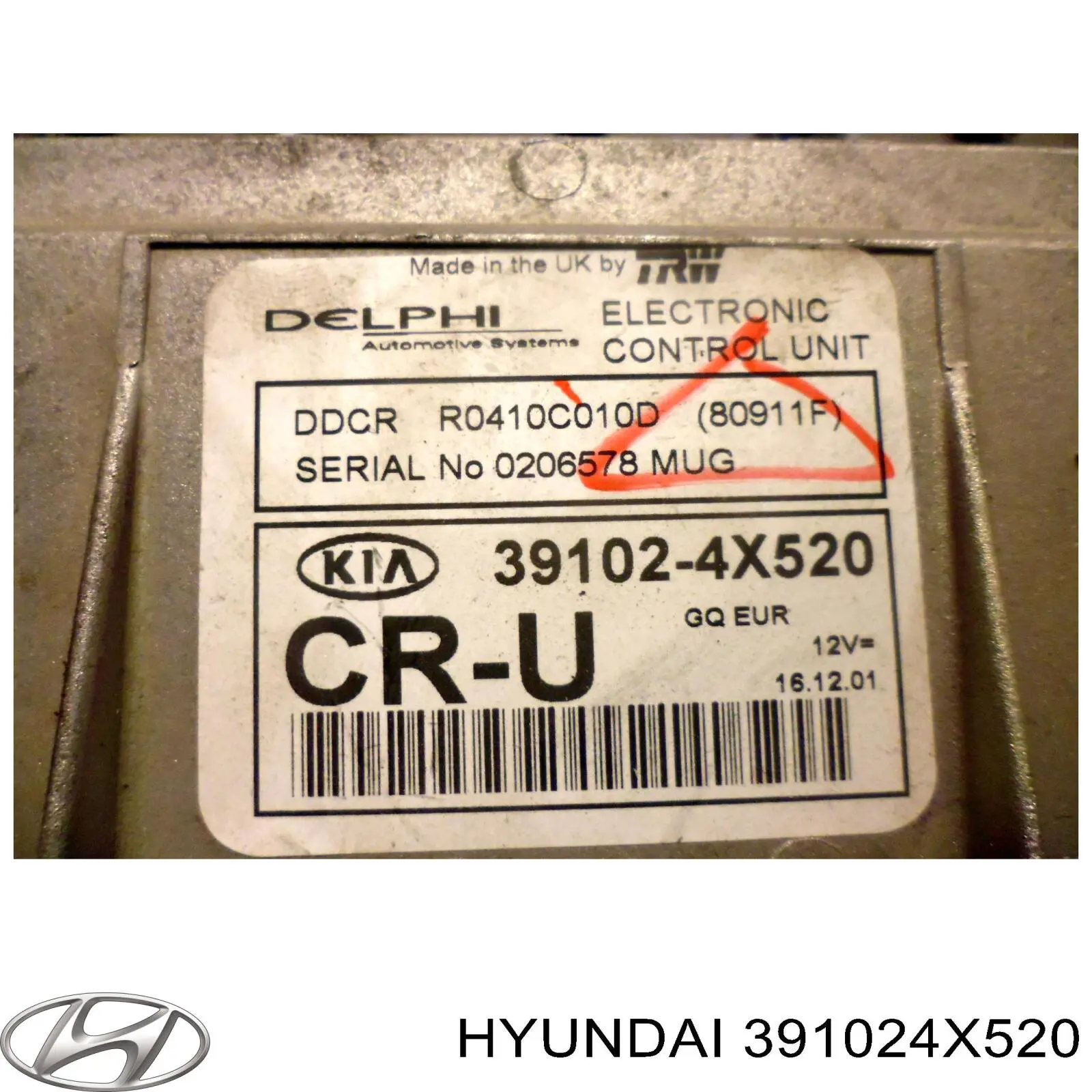 391024X520 Hyundai/Kia Centralina Del Motor