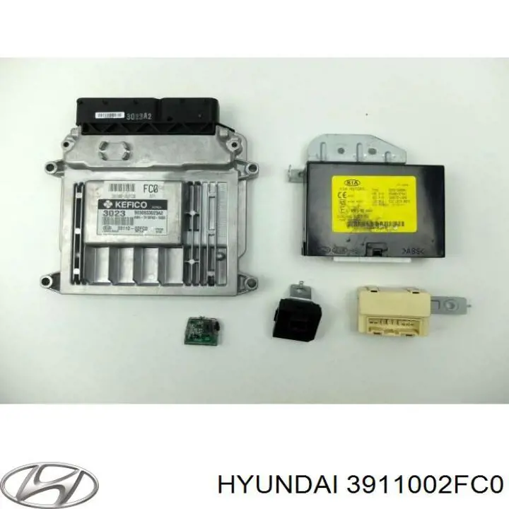 3911002FC0 Hyundai/Kia